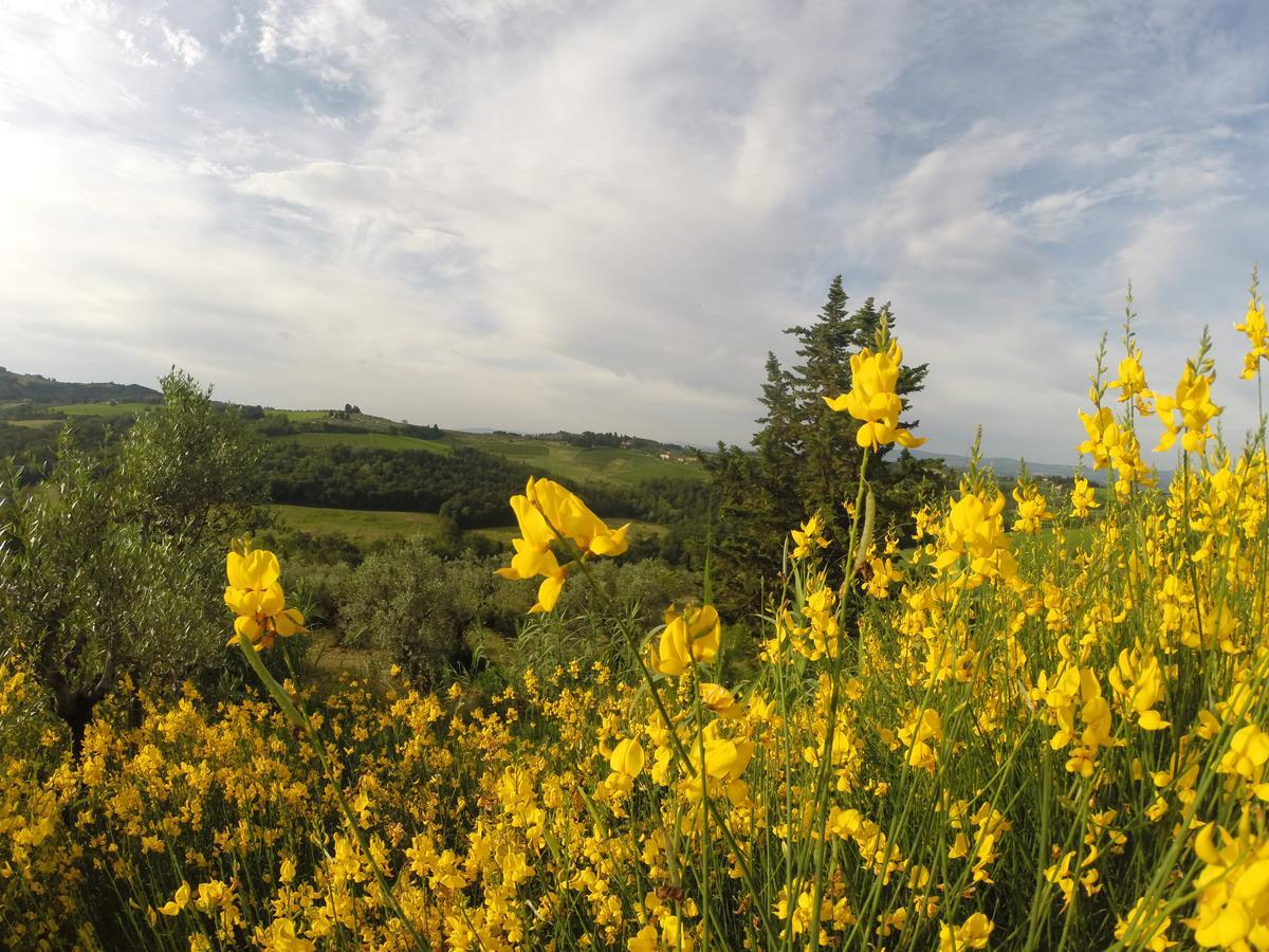 蒙特斯佩尔托利La Rocca Di Montalbino公寓 外观 照片